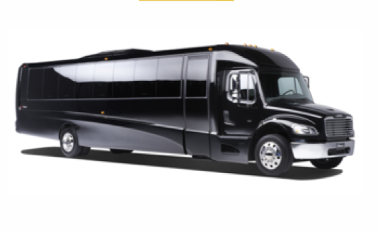Freightliner Minibus
